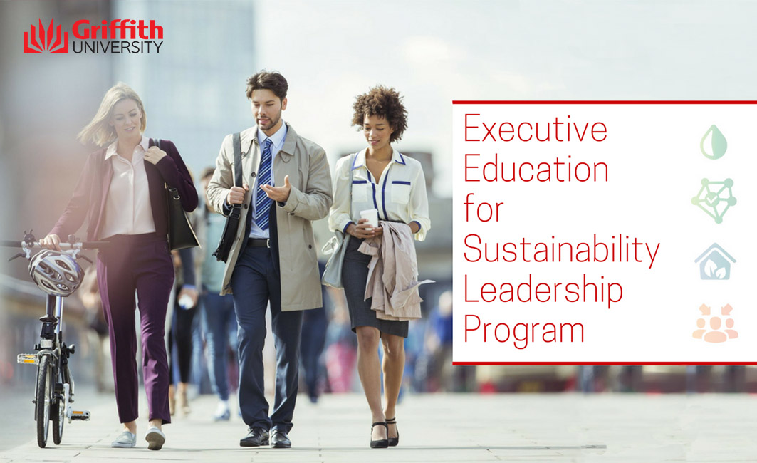 Executive Education for Sustainability Leadership Program