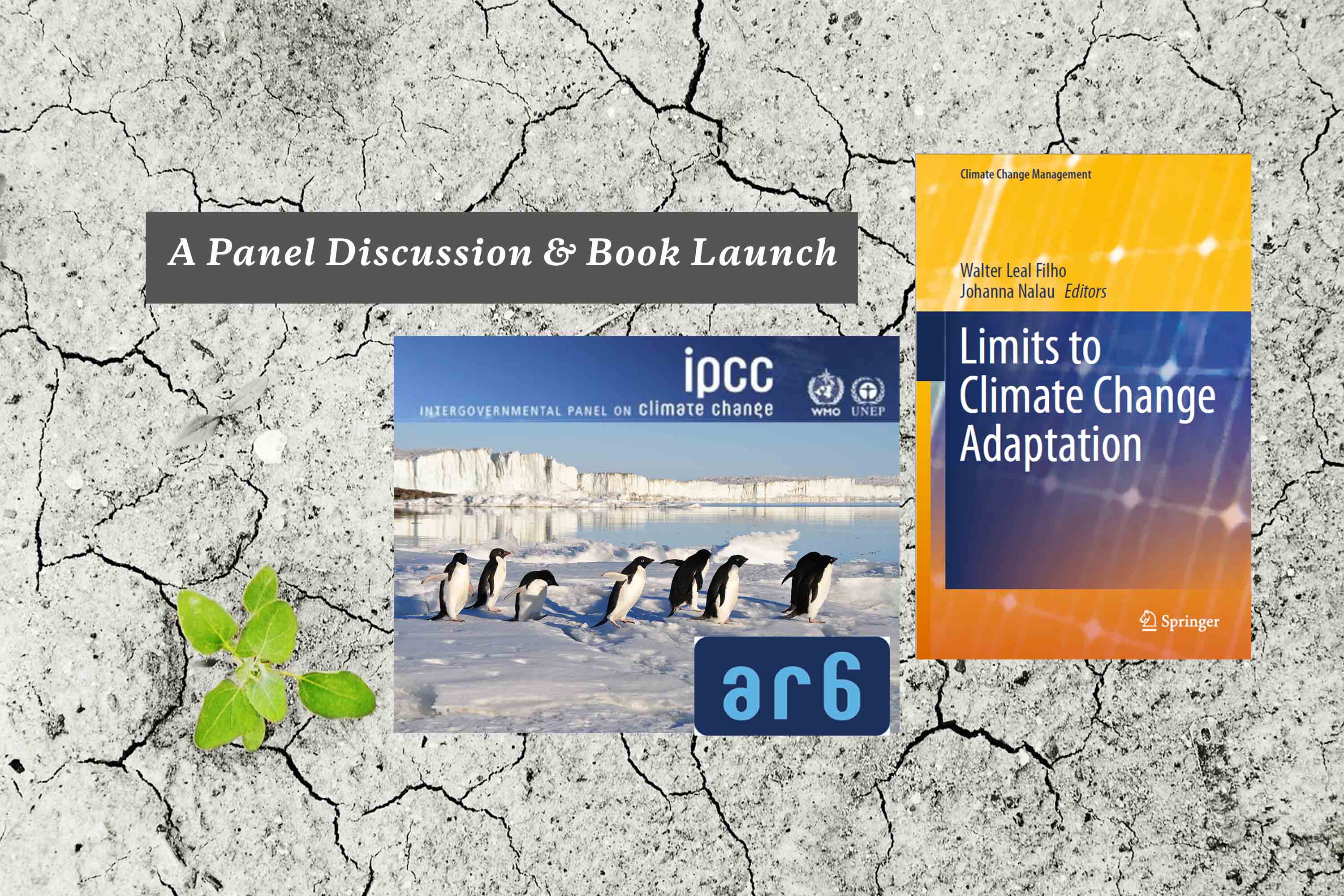 Panel discussion - Climate change update: Moving forward on adaptation and Book launch - Limits to Climate Change Adaptation