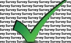 Qualitative Validation of Surveys