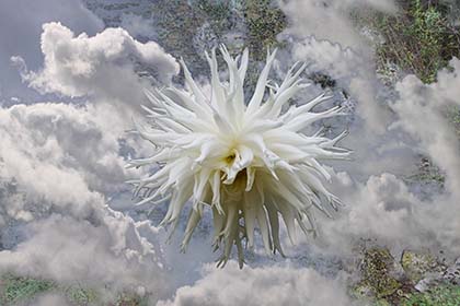 Dissolving Worlds: Tim and Mic Gruchy